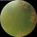 ./images/calvert/underwater/20260801/underwater20260801_202501M.jpg
