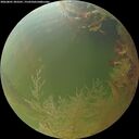 ./images/calvert/underwater/20260801/underwater20260801_203501M.jpg