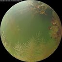 ./images/calvert/underwater/20260801/underwater20260801_204001M.jpg