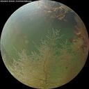 ./images/calvert/underwater/20260801/underwater20260801_205001M.jpg
