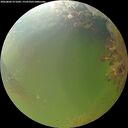 ./images/calvert/underwater/20260802/underwater20260802_071001M.jpg