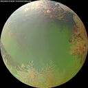 ./images/calvert/underwater/20260802/underwater20260802_074001M.jpg