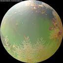 ./images/calvert/underwater/20260802/underwater20260802_080501M.jpg