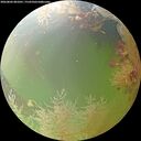 ./images/calvert/underwater/20260802/underwater20260802_081001M.jpg