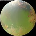 ./images/calvert/underwater/20260802/underwater20260802_081501M.jpg