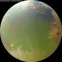 ./images/calvert/underwater/20260802/underwater20260802_082001M.jpg