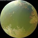 ./images/calvert/underwater/20260802/underwater20260802_082501M.jpg