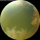 ./images/calvert/underwater/20260802/underwater20260802_083001M.jpg