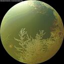 ./images/calvert/underwater/20260802/underwater20260802_083501M.jpg