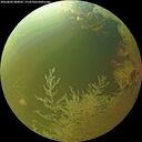 ./images/calvert/underwater/20260802/underwater20260802_084001M.jpg