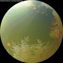 ./images/calvert/underwater/20260802/underwater20260802_085501M.jpg
