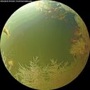 ./images/calvert/underwater/20260802/underwater20260802_091001M.jpg