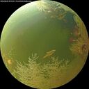 ./images/calvert/underwater/20260802/underwater20260802_091501M.jpg