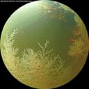 ./images/calvert/underwater/20260802/underwater20260802_092501M.jpg