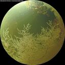 ./images/calvert/underwater/20260802/underwater20260802_093502M.jpg