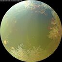./images/calvert/underwater/20260802/underwater20260802_095001M.jpg