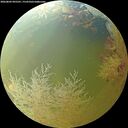 ./images/calvert/underwater/20260802/underwater20260802_095501M.jpg