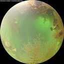 ./images/calvert/underwater/20260802/underwater20260802_104002M.jpg