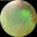./images/calvert/underwater/20260802/underwater20260802_105001M.jpg