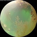 ./images/calvert/underwater/20260802/underwater20260802_110002M.jpg