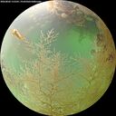 ./images/calvert/underwater/20260802/underwater20260802_115501M.jpg