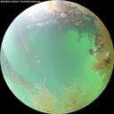 ./images/calvert/underwater/20260802/underwater20260802_130501M.jpg
