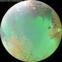 ./images/calvert/underwater/20260802/underwater20260802_131001M.jpg