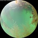 ./images/calvert/underwater/20260802/underwater20260802_132001M.jpg