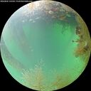 ./images/calvert/underwater/20260802/underwater20260802_132501M.jpg