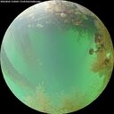 ./images/calvert/underwater/20260802/underwater20260802_133001M.jpg