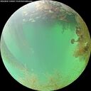 ./images/calvert/underwater/20260802/underwater20260802_134001M.jpg