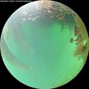 ./images/calvert/underwater/20260802/underwater20260802_134501M.jpg