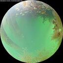 ./images/calvert/underwater/20260802/underwater20260802_135501M.jpg