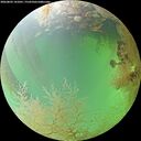 ./images/calvert/underwater/20260802/underwater20260802_141001M.jpg
