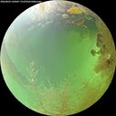 ./images/calvert/underwater/20260802/underwater20260802_143001M.jpg