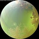 ./images/calvert/underwater/20260802/underwater20260802_144001M.jpg