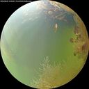 ./images/calvert/underwater/20260802/underwater20260802_145002M.jpg