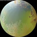 ./images/calvert/underwater/20260802/underwater20260802_151501M.jpg