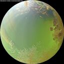 ./images/calvert/underwater/20260802/underwater20260802_155002M.jpg
