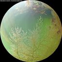./images/calvert/underwater/20260802/underwater20260802_160501M.jpg