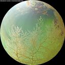./images/calvert/underwater/20260802/underwater20260802_161001M.jpg