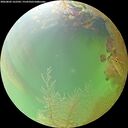 ./images/calvert/underwater/20260802/underwater20260802_162502M.jpg