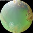 ./images/calvert/underwater/20260802/underwater20260802_163002M.jpg