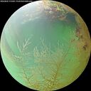 ./images/calvert/underwater/20260802/underwater20260802_171002M.jpg