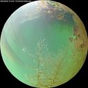 ./images/calvert/underwater/20260802/underwater20260802_171501M.jpg