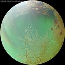 ./images/calvert/underwater/20260802/underwater20260802_172001M.jpg