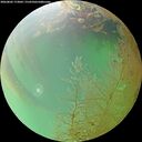 ./images/calvert/underwater/20260802/underwater20260802_173001M.jpg