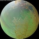 ./images/calvert/underwater/20260802/underwater20260802_175001M.jpg