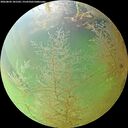 ./images/calvert/underwater/20260802/underwater20260802_181501M.jpg