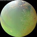 ./images/calvert/underwater/20260802/underwater20260802_182502M.jpg